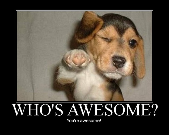 Who's awesome?  You're awesome!